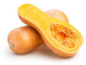 Butternut Squash