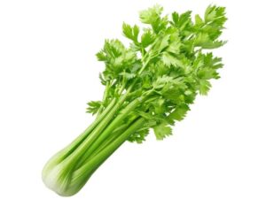 Celery