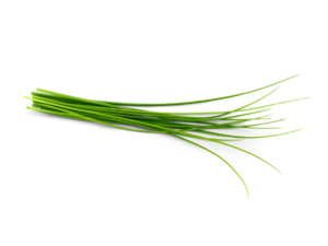 Chives