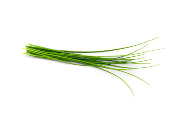 Chives