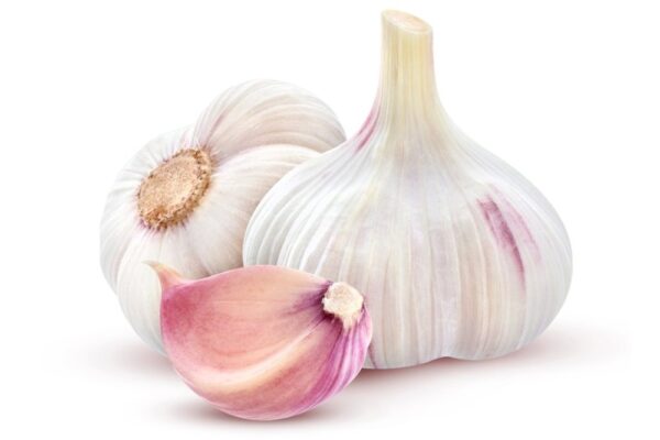 Garlic