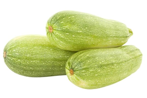 Grey Squash