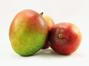 mango haden