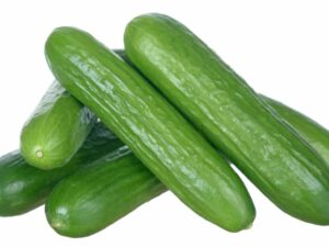 Mini Cucumber