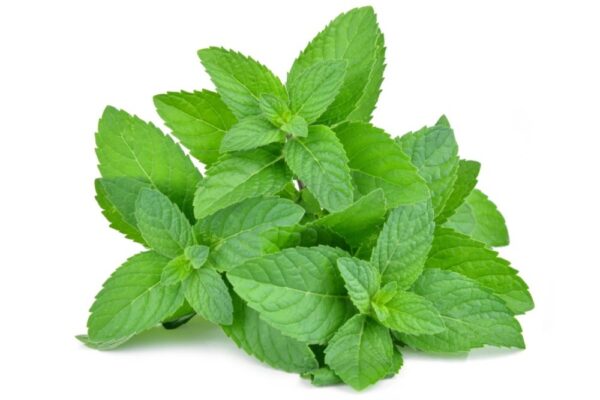 mint