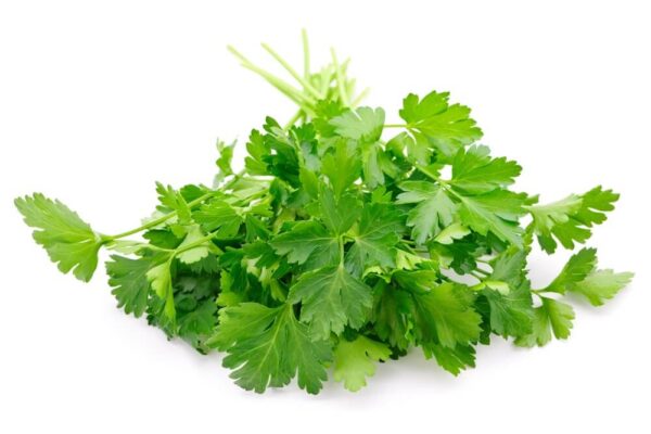 parsley