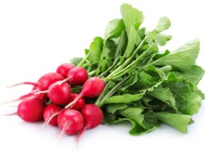 radish