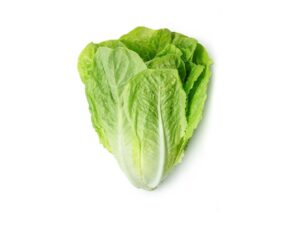 Romain lettuve