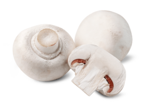 white mushroom